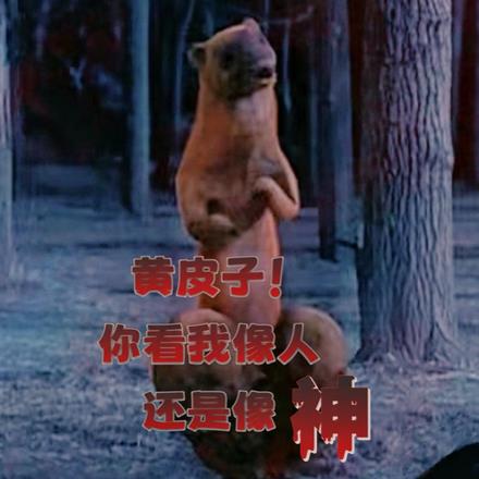 人皮子讨封,黄皮子都懵逼了 人皮子讨封,黄皮子都懵逼了